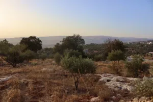 Residential Land for Sale in Amman Badr Jdedeh