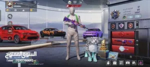 Pubg Accounts and Characters for Sale in Salt
