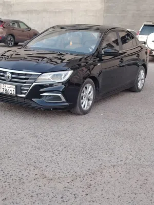 شرط الفحص بالكامل صبغ وكاله اMG 5