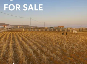 Residential Land for Sale in Amman Al-Muwaqqar
