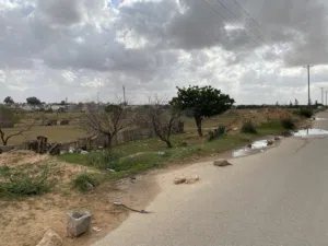 قطعة ارض في عين زارا الكحيلي الطريق الماديه للباعيش علي قطران وقريبه علي رئيسي سعر المتر 500