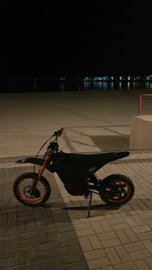 Wish 01 e bike