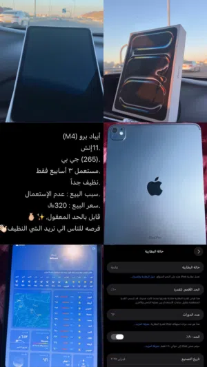 Apple iPad pro 4 256 GB in Muscat