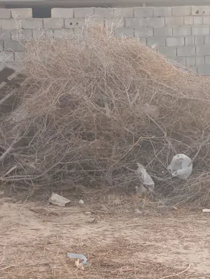 حطب للبيع