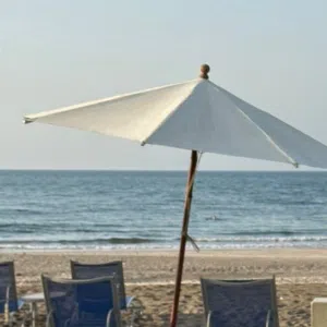 MN 