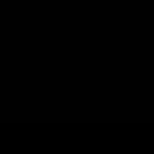 HOSSIN 