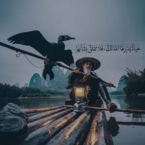 rashid alwehibi .