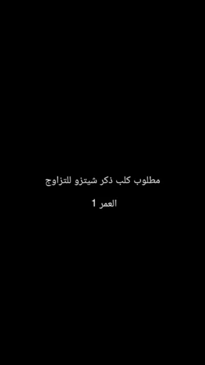 مطلوب كلب ذكر شيتزو للتزاوج العمر 1 سنه
