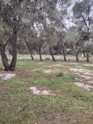 Farm Land for Sale in Jerash Al-Mastaba