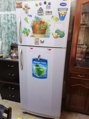 ثلاجة حجم كبير