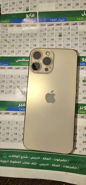 Apple iPhone 13 Pro Max 256 GB in Al Mukalla