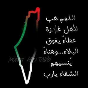 Abu Taleb 