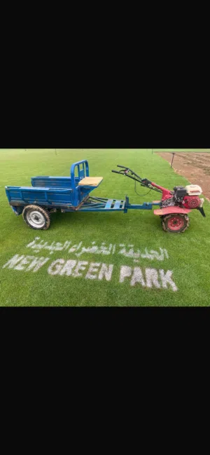 معشب طبيعي  3نواع