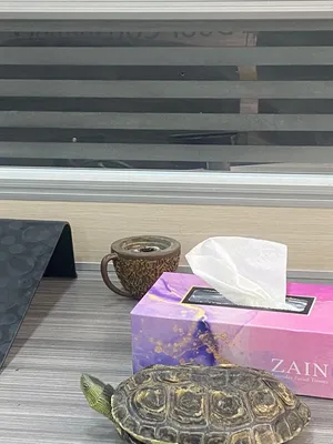 ‏سلاحف‏1
