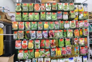 بذور خضروات وورود أمريكية بجودة عالية - فقط 5 دراهم! Title: Premium US Vegetable & Flower Seeds