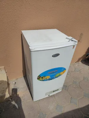 General Electric Refrigerators in Dubai