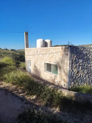 Farm Land for Sale in Jerash Unaybah