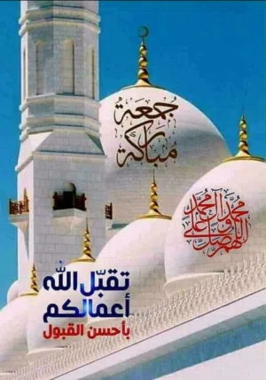 لايجار شقة بل الواحة ق4