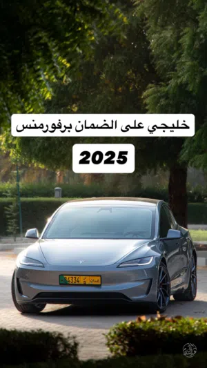 للبيع تسلا برفورمنس 2025