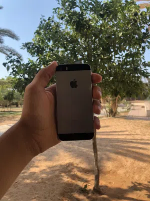 Apple iPhone 5S 16 GB in Tripoli