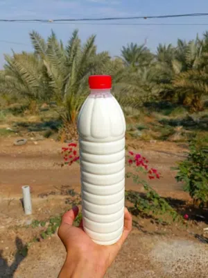 البان واجبان