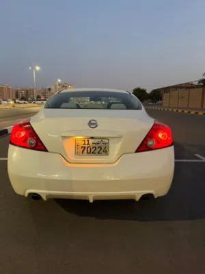 التيما 2012 كوب