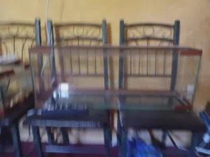 حوض سمك.مستعل لمدة أسبوع  للبيع