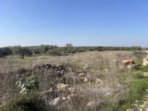 Mixed Use Land for Sale in Qalqilya Kafr Laqif