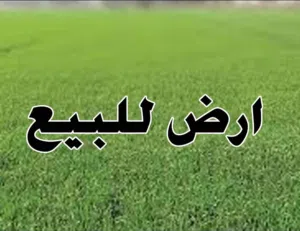 Residential Land for Sale in Amman Uyun Al-Dhib