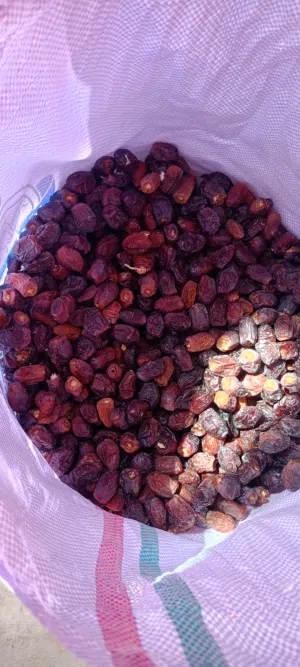 نفعيه للبيع