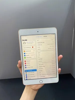 ipad-mini-5