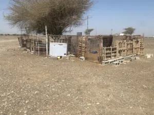 حضيرة غنام للبيع  110ریال بالاغراض لي فيها كامل ماعدا قفص