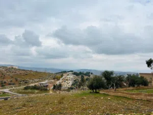 Residential Land for Sale in Zarqa Birayn