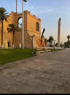 محمد الفرجاني 