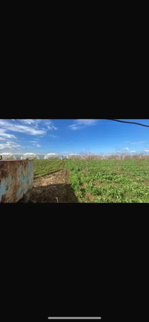 للبيع ارض عرقة مساحة 2000 م