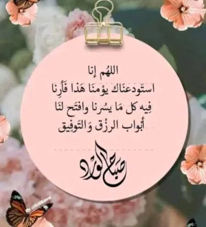 حسن الحجي 