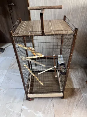 قفص ببغاء كاسكو او جميع انواع الببغاء والعصافير