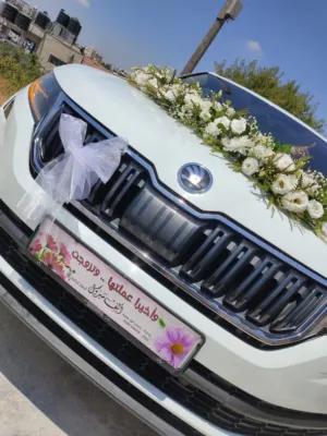 skoda-kodiaq-2016-2017-2-0-tdi-190hp-4-4-فل-الفل-كامل