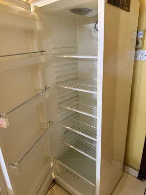 Wansa Fridge Single department