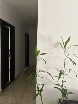مشاركه سكن