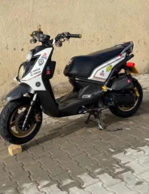 سكنس جبلي كفاله عامة فول تزويد