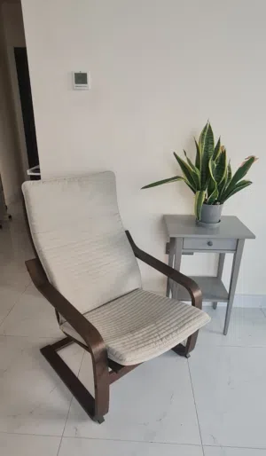 IKEA POANG CHAIR + TABLE + PLANT
