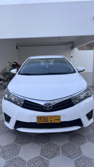 Used Toyota Corolla in Muscat