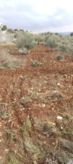 Mixed Use Land for Sale in Ajloun Barqash