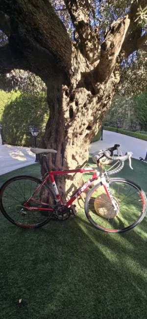 Trek 1.2 - 2014, size 50, aluminum + carbon, Shimano،  بمقاس 50، ألمنيوم + كاربن