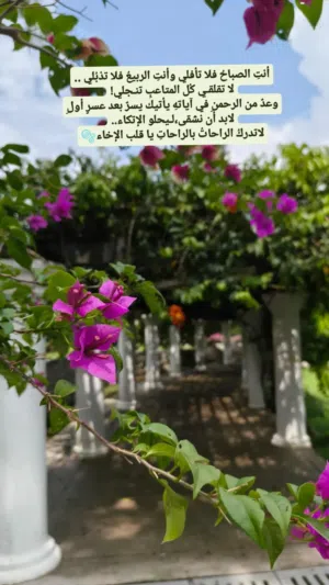 غيمة أحمد 
