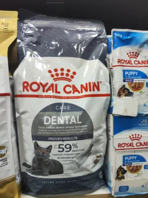 رويال كانن دينتل