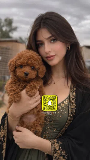 Dogs in uae , كلاب في الامارات