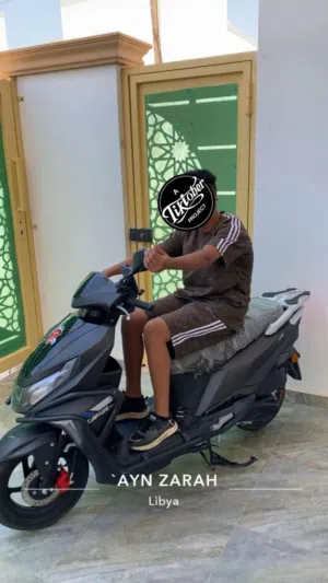 محمد الزروقي 