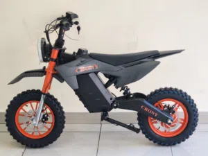 Crony 48 volt e bike